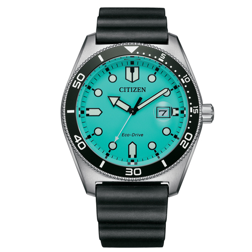 Citizen Of Collection Marine 1760 AW1760-14X  